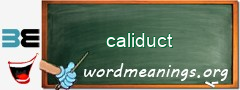 WordMeaning blackboard for caliduct